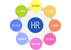 行政管理、人力資源管理、工商企業(yè)管理 企業(yè)管理三大領(lǐng)域的比較與選擇
