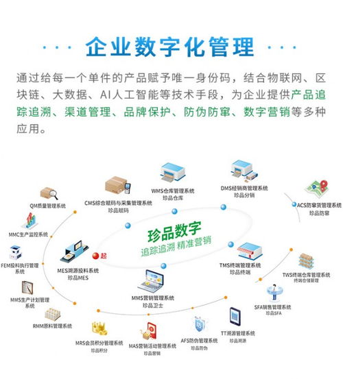 賦能管理，驅動未來 珍品數字發布全新企業數字化解決方案與數據處理服務