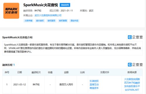 火花音悅獲數百萬種子輪融資，以數據處理服務為引擎，加速音樂版權市場布局